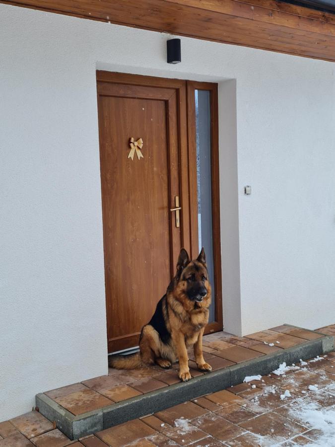 Apartmany Bystra-Chopok Brezno Buitenkant foto